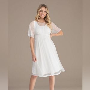 Kiyonna Tea Length Mesh Dress